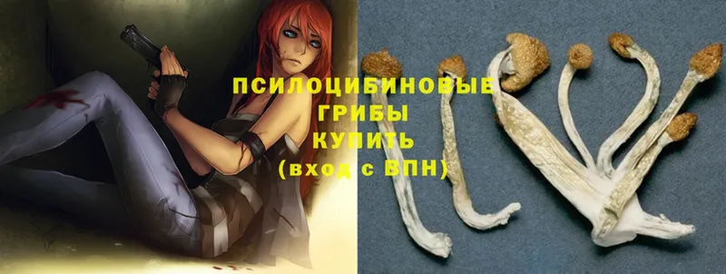 Галлюциногенные грибы Magic Shrooms  закладка  Каспийск 